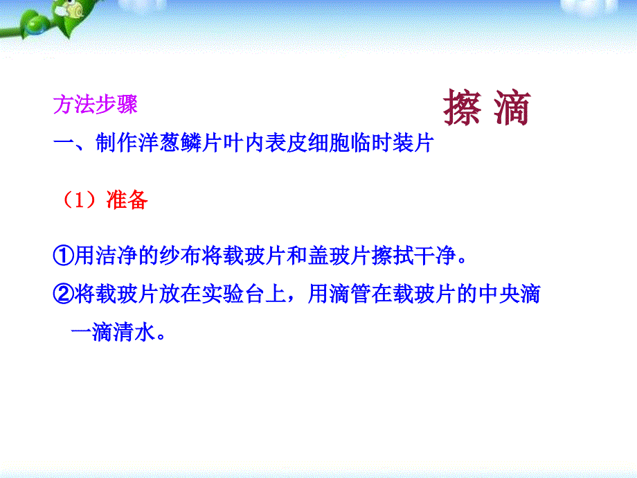 临时装片的制作方法和观察图片【沐风教育】_第4页