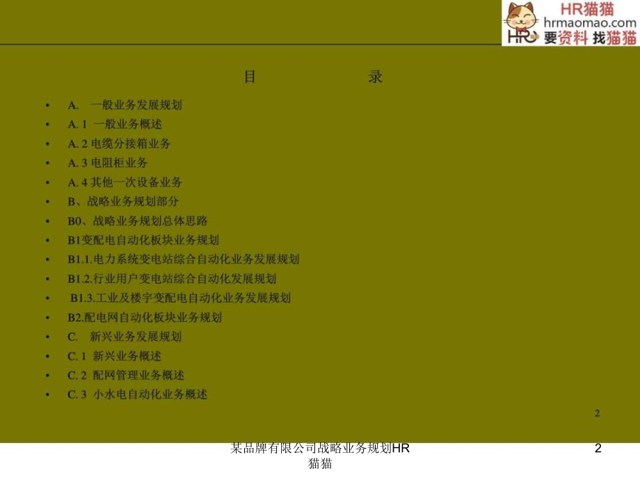 品牌有限公司战略业务规划HR猫猫课件_第2页