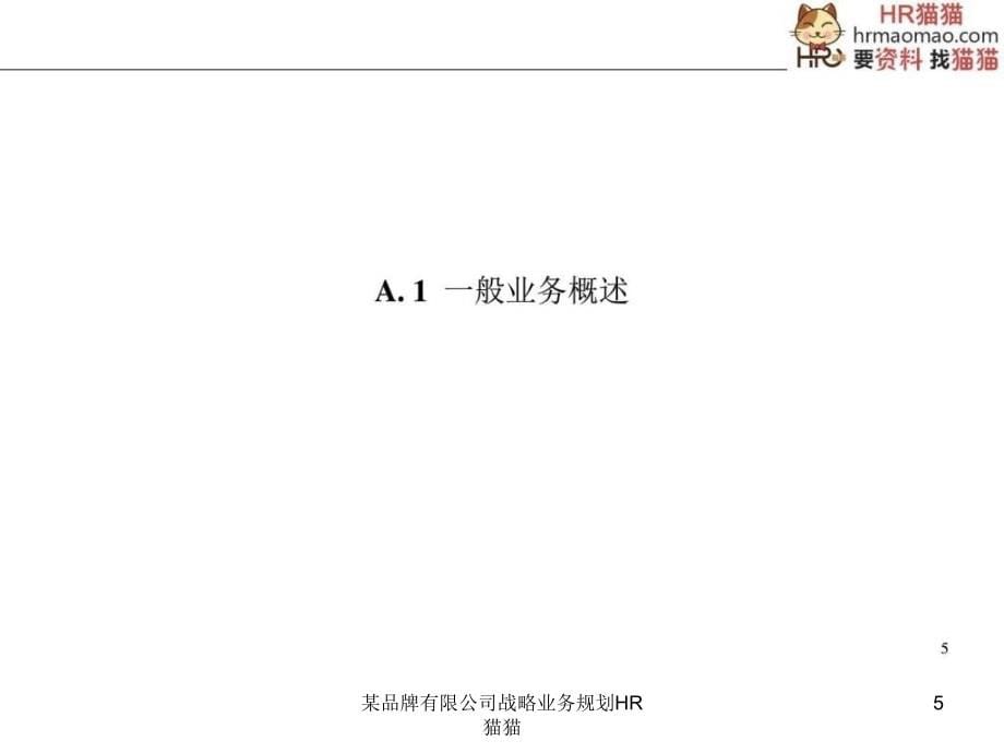 品牌有限公司战略业务规划HR猫猫课件_第5页