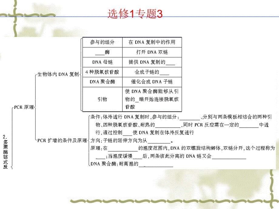 专题3DNA和蛋白质技术新人教版选修1_第5页