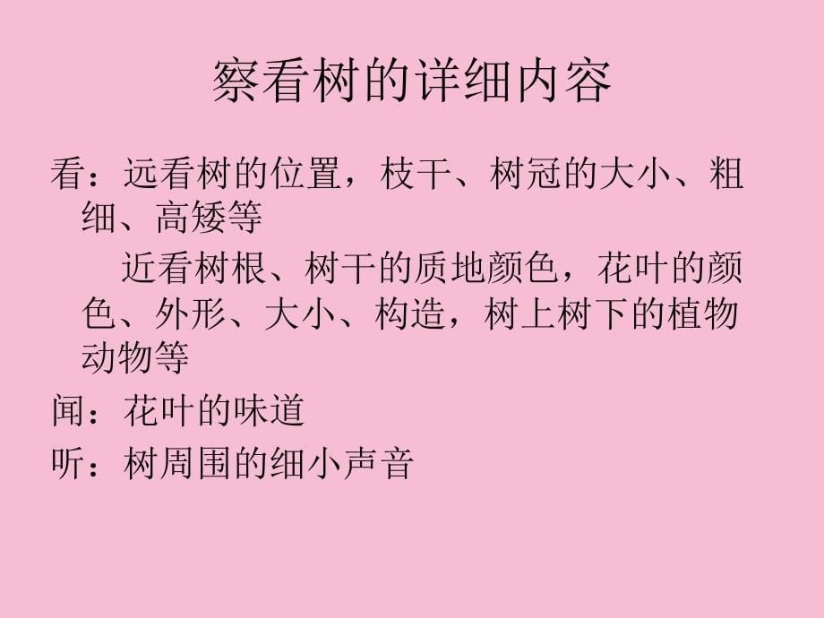 三年级上册科学1.2校园的树木教科版ppt课件_第5页