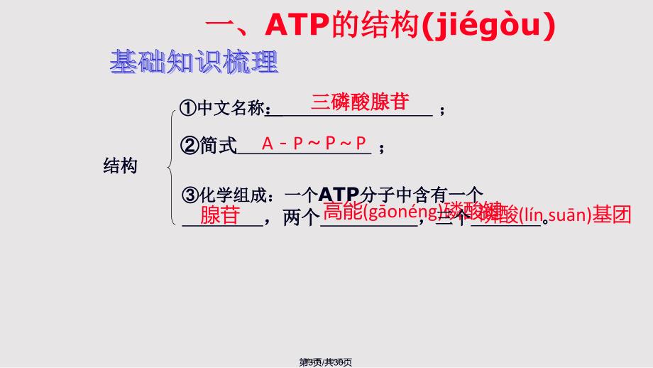 ATP复习课课件整理实用教案_第3页