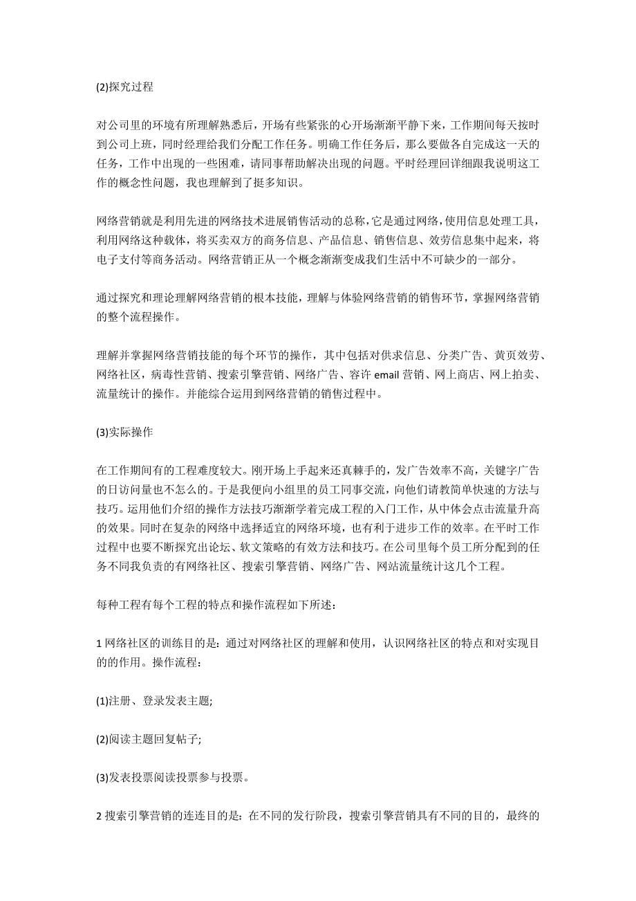 网络销售的实习报告的范文_第5页