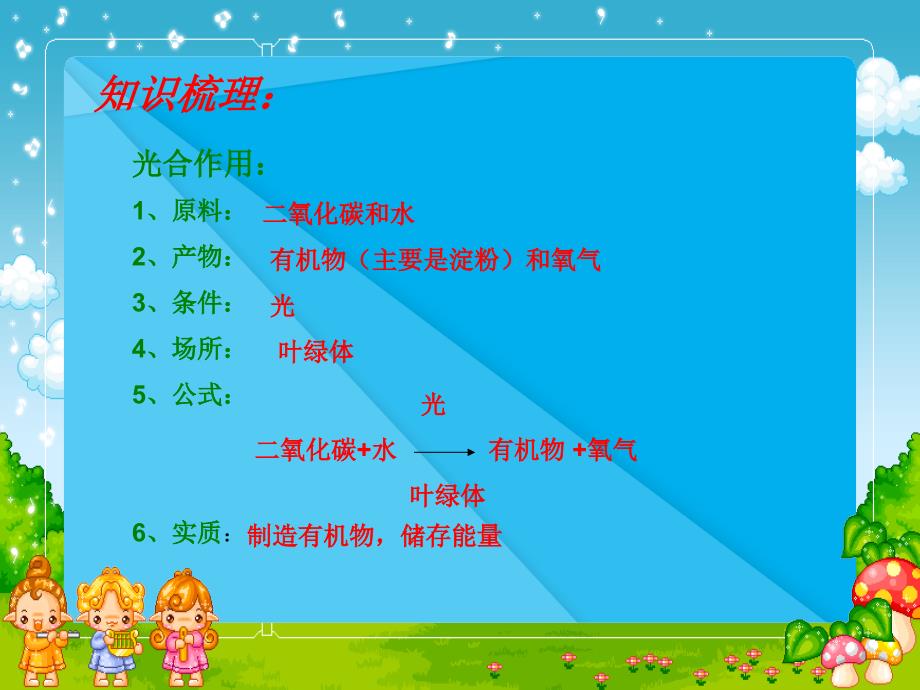 专题复习：光合作用与呼吸作用ppt-人教版优秀课件_第4页