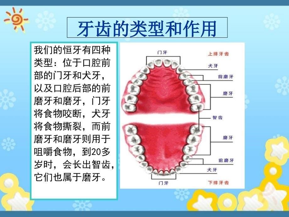 专业医生做的小学生刷牙和洗手宣教_第5页