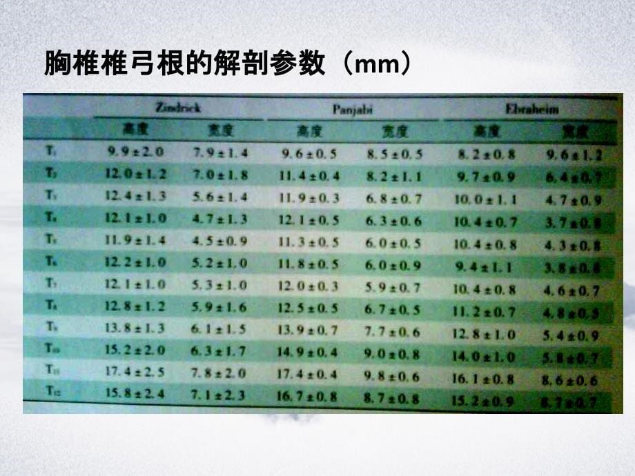 胸椎椎弓根螺钉技术_第5页