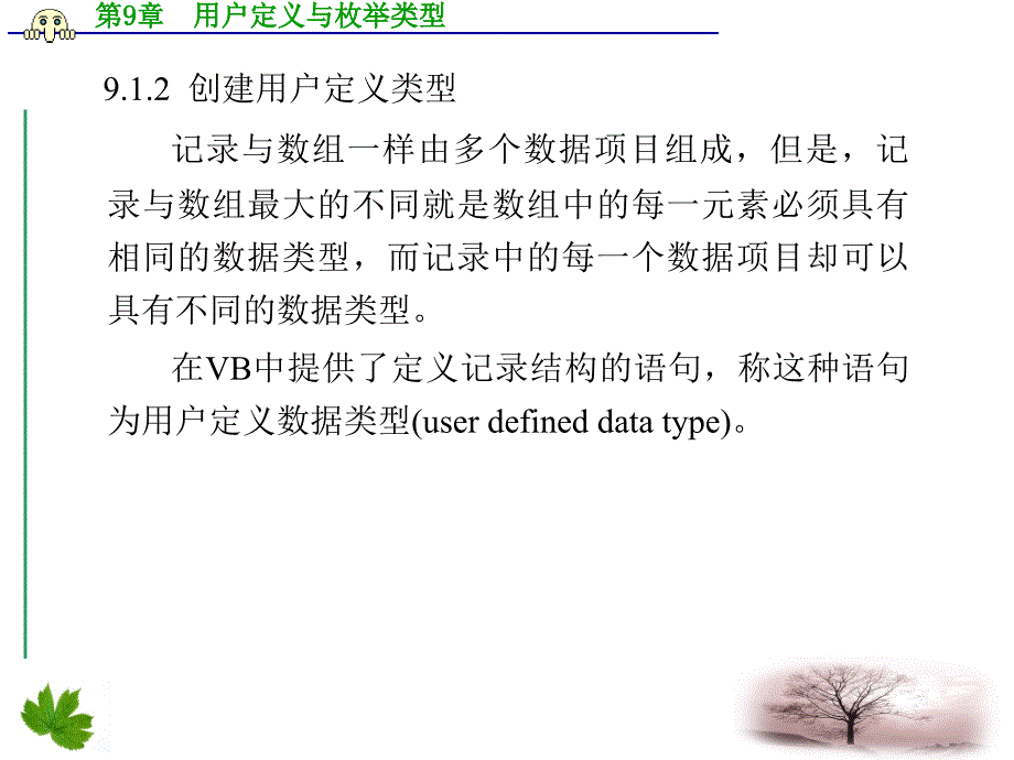 vb编程技术用户定义与枚举类型_第4页