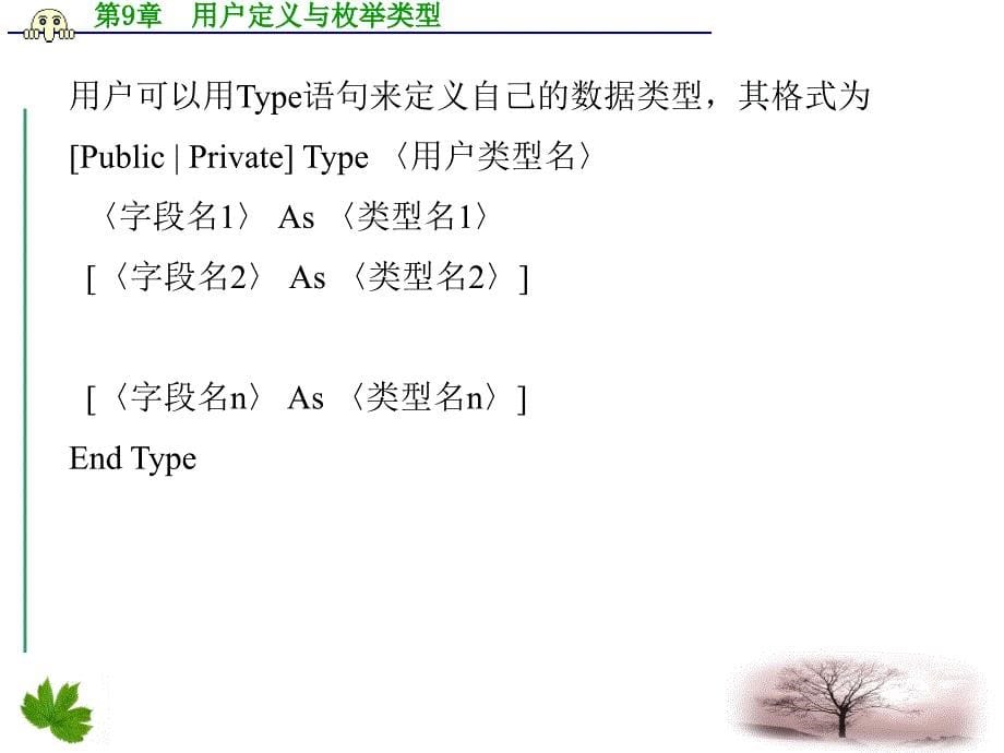 vb编程技术用户定义与枚举类型_第5页