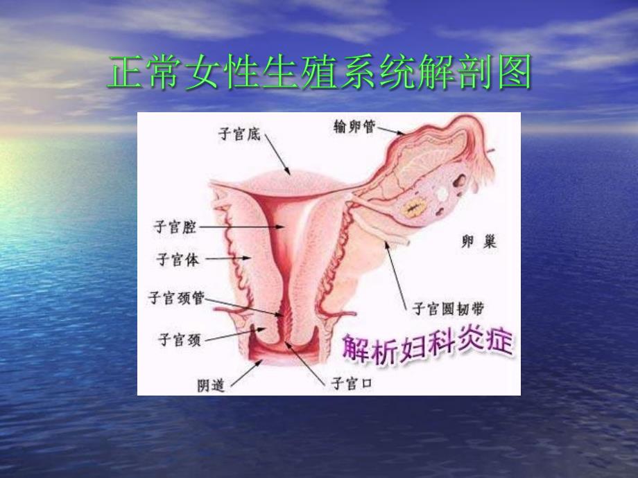 宫颈疾病的预防与诊治_第4页