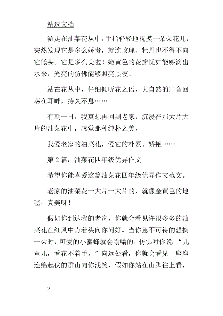 油菜花四年级作文3篇.doc_第2页