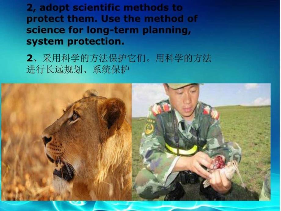 保护动物英语演讲PPT图文.ppt27_第4页