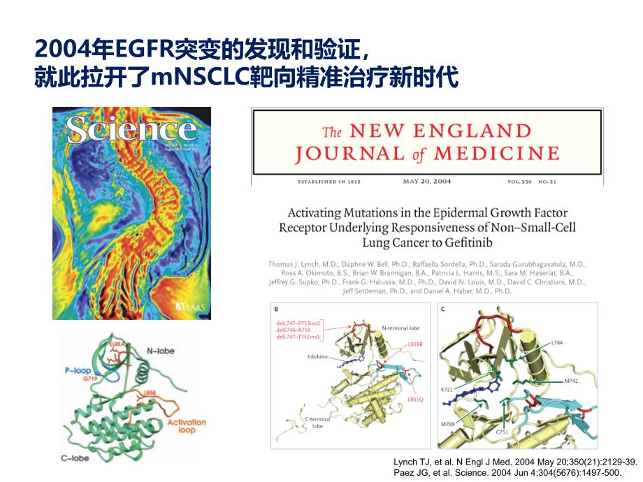 驱动基因阳性人群TKI治疗新策略_第2页