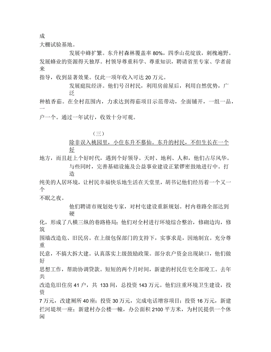 集安市东升村新农村建设侧记_第4页