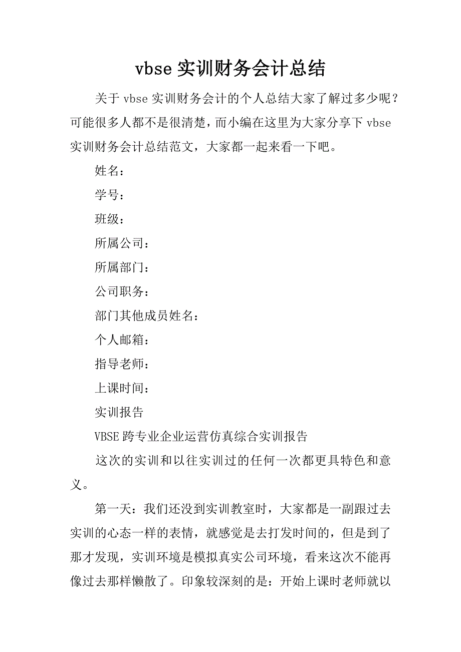 vbse实训财务会计总结.doc_第1页