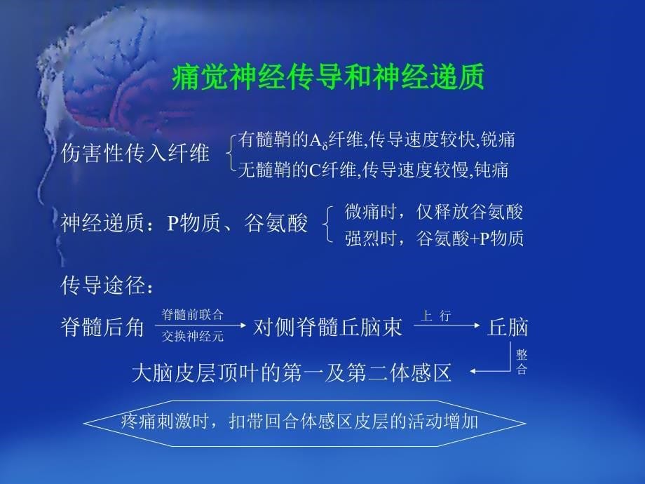 痛觉生理心理学机制_第5页