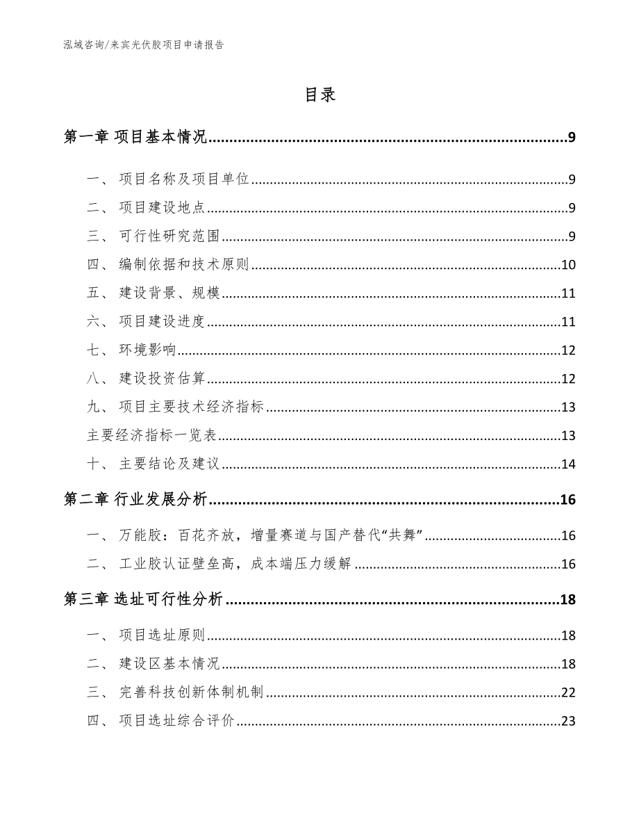 来宾光伏胶项目申请报告_第2页