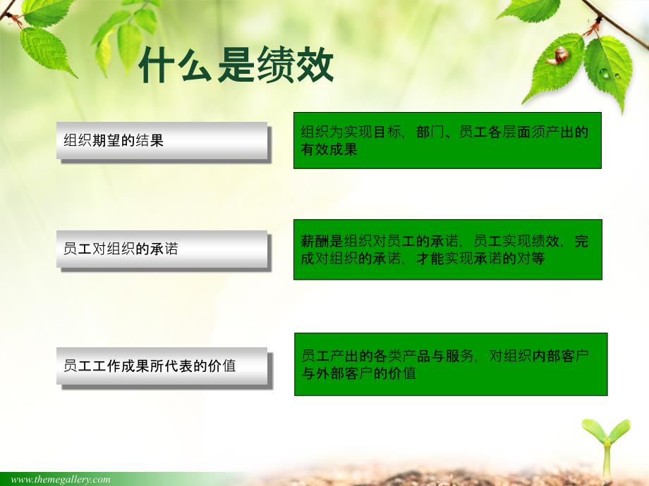 绩效管理(PPT_第4页