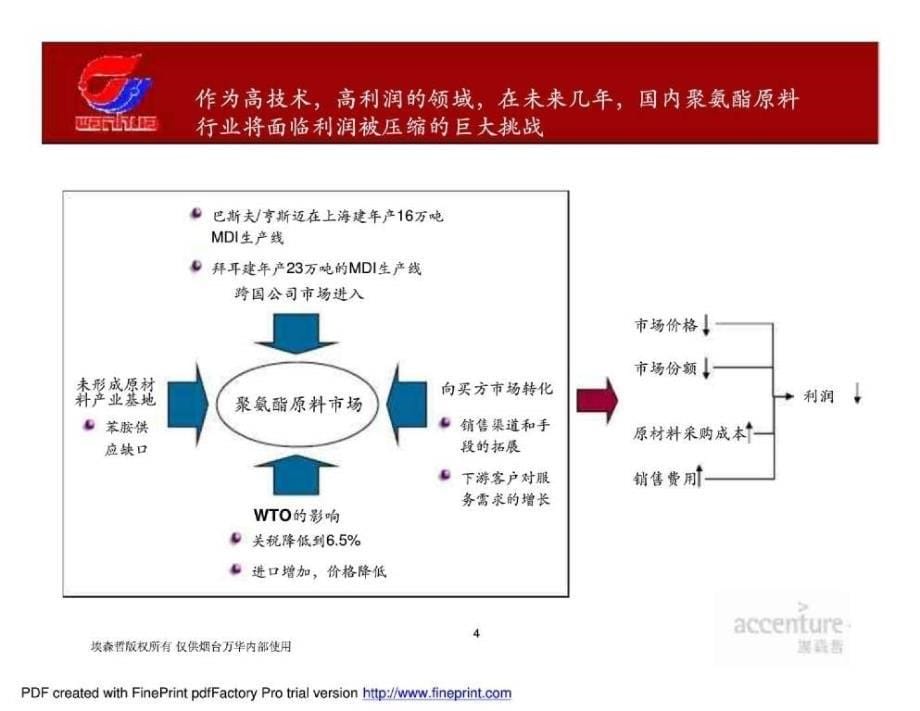 埃森哲烟台万华建议书_第5页