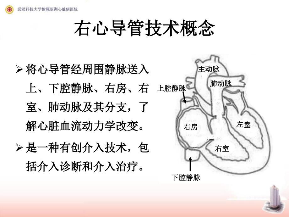 右心导管检查及心血管造影_第2页