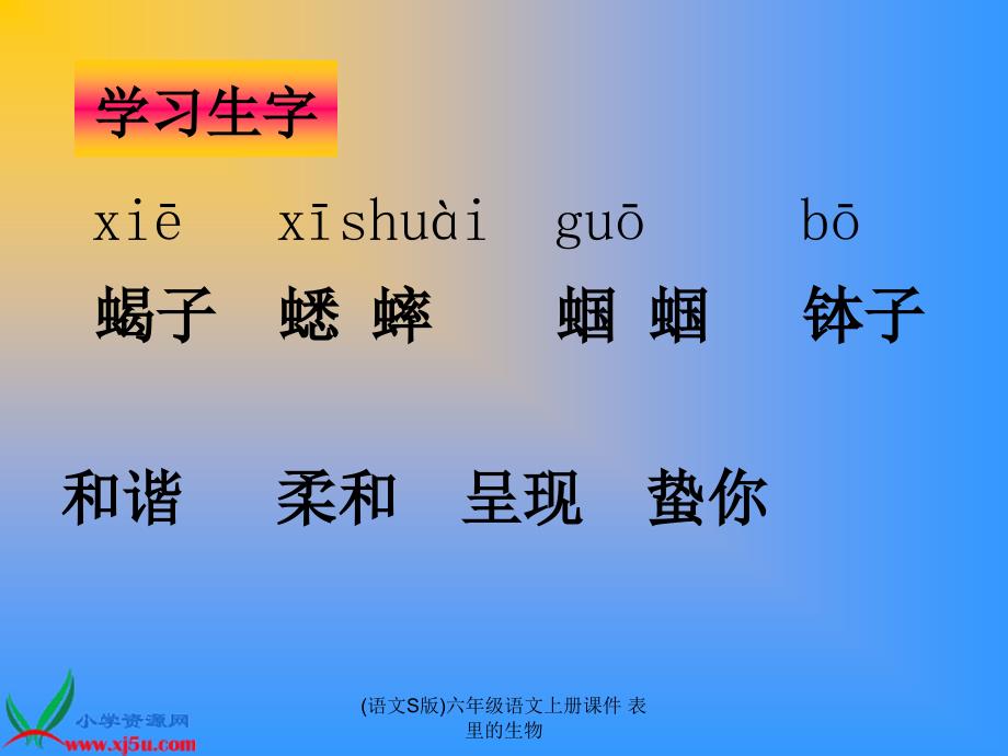 语文S版六年级语文上册课件表里的生物经典实用_第3页