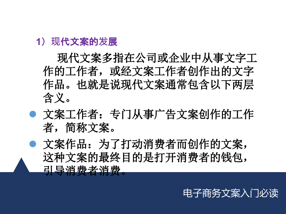 电子商务文案入门必读_第3页