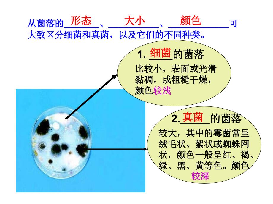 科学&#183;技术&#183;社会　“超级细菌”近在咫尺_第3页