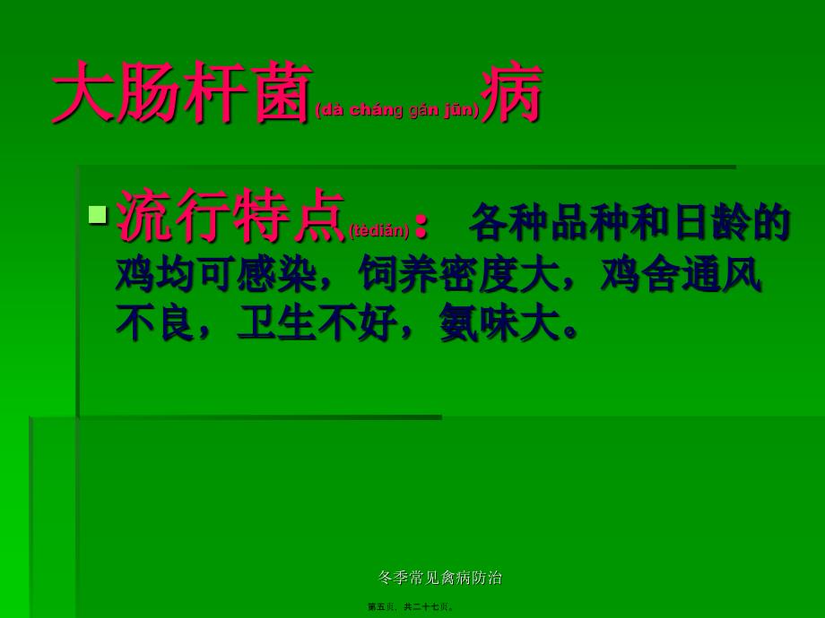 冬季常见禽病防治课件_第5页