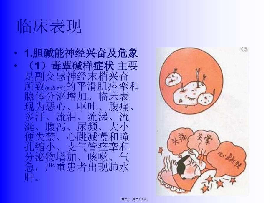 医学专题—有机磷农药中分析_第5页