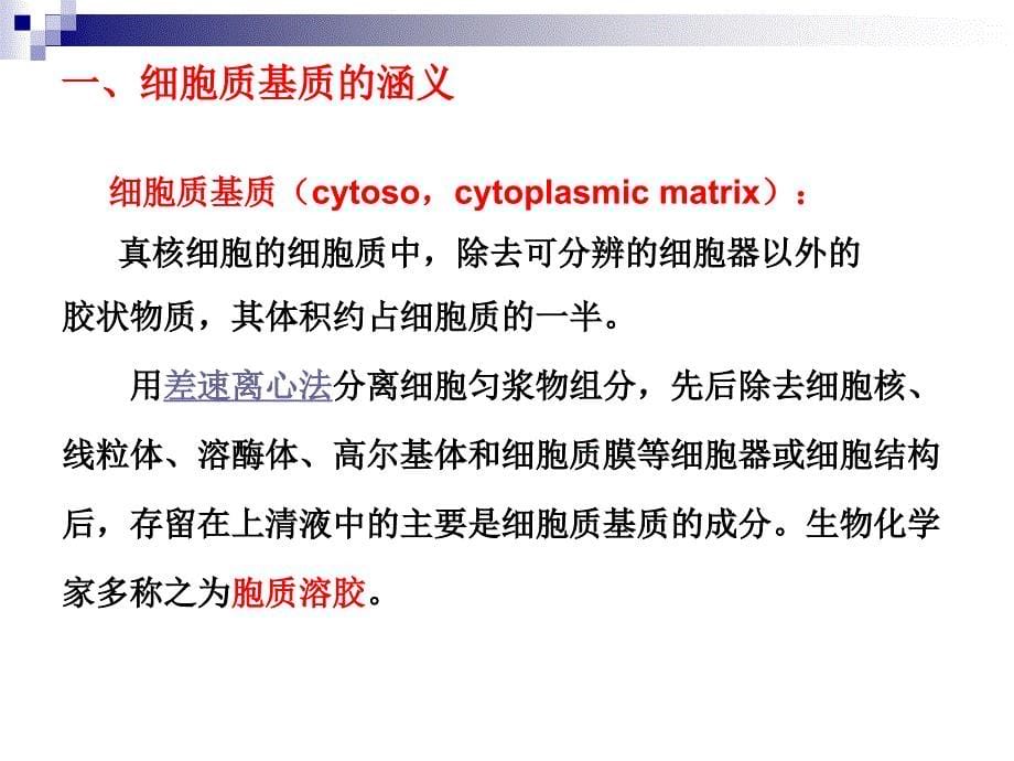 细胞生物学第七章_第5页