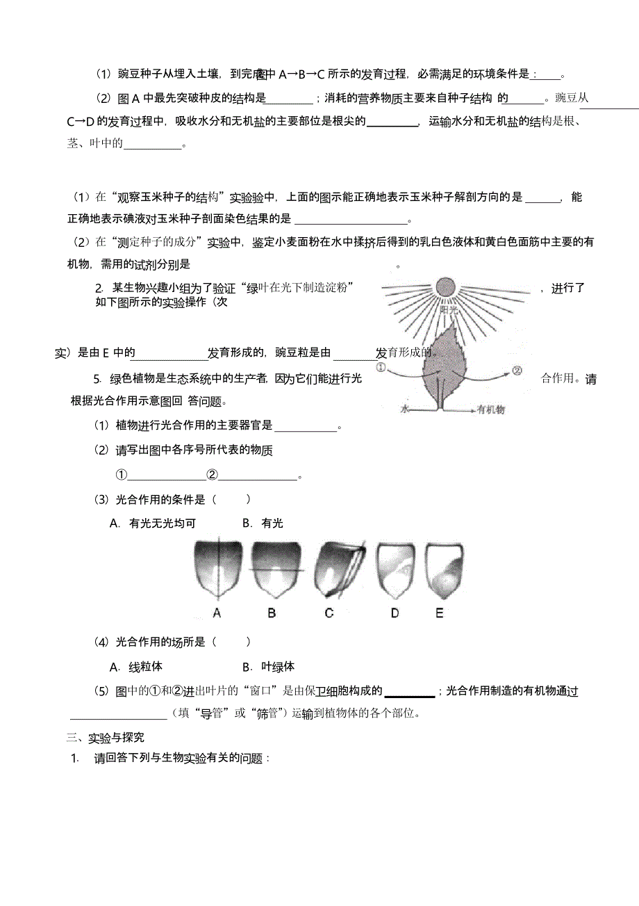 鲁教版初中初一六年级下册生物期末模拟试题及答案_第4页