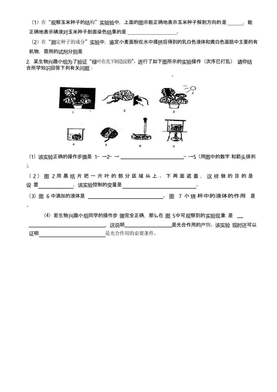 鲁教版初中初一六年级下册生物期末模拟试题及答案_第5页