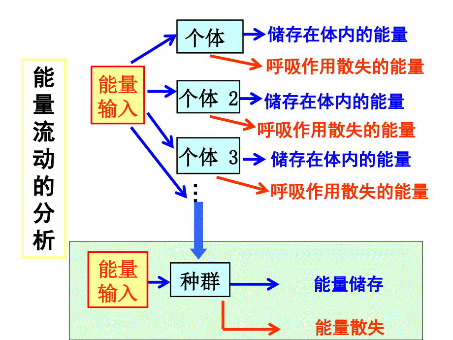 生态系统的能量流动_第3页