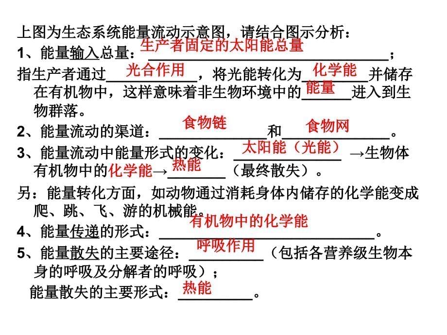 生态系统的能量流动_第5页