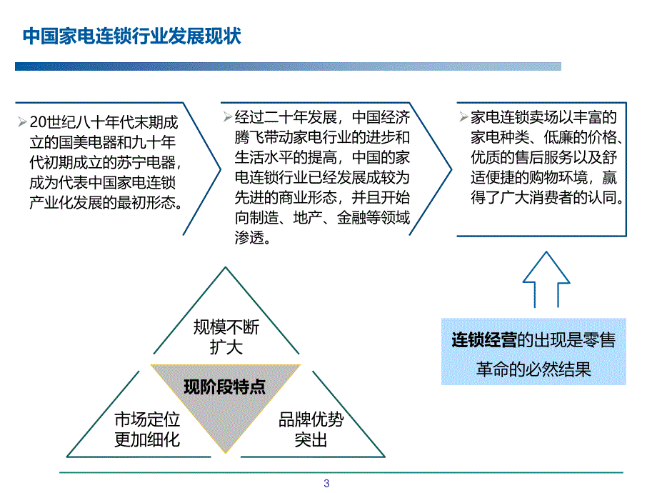 国美苏宁商业模式浅析_第3页