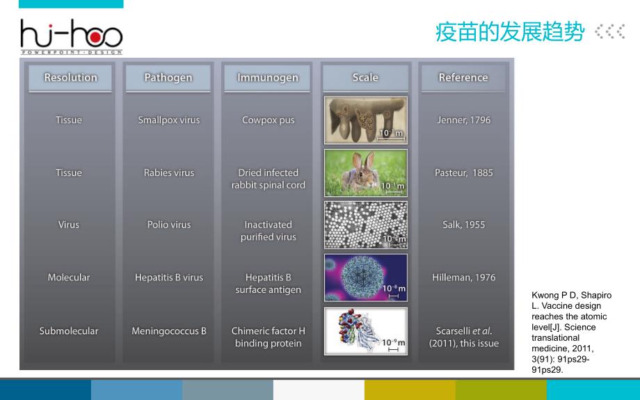 狂犬病疫苗的研究及其进展_第2页