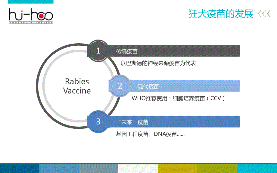 狂犬病疫苗的研究及其进展_第3页