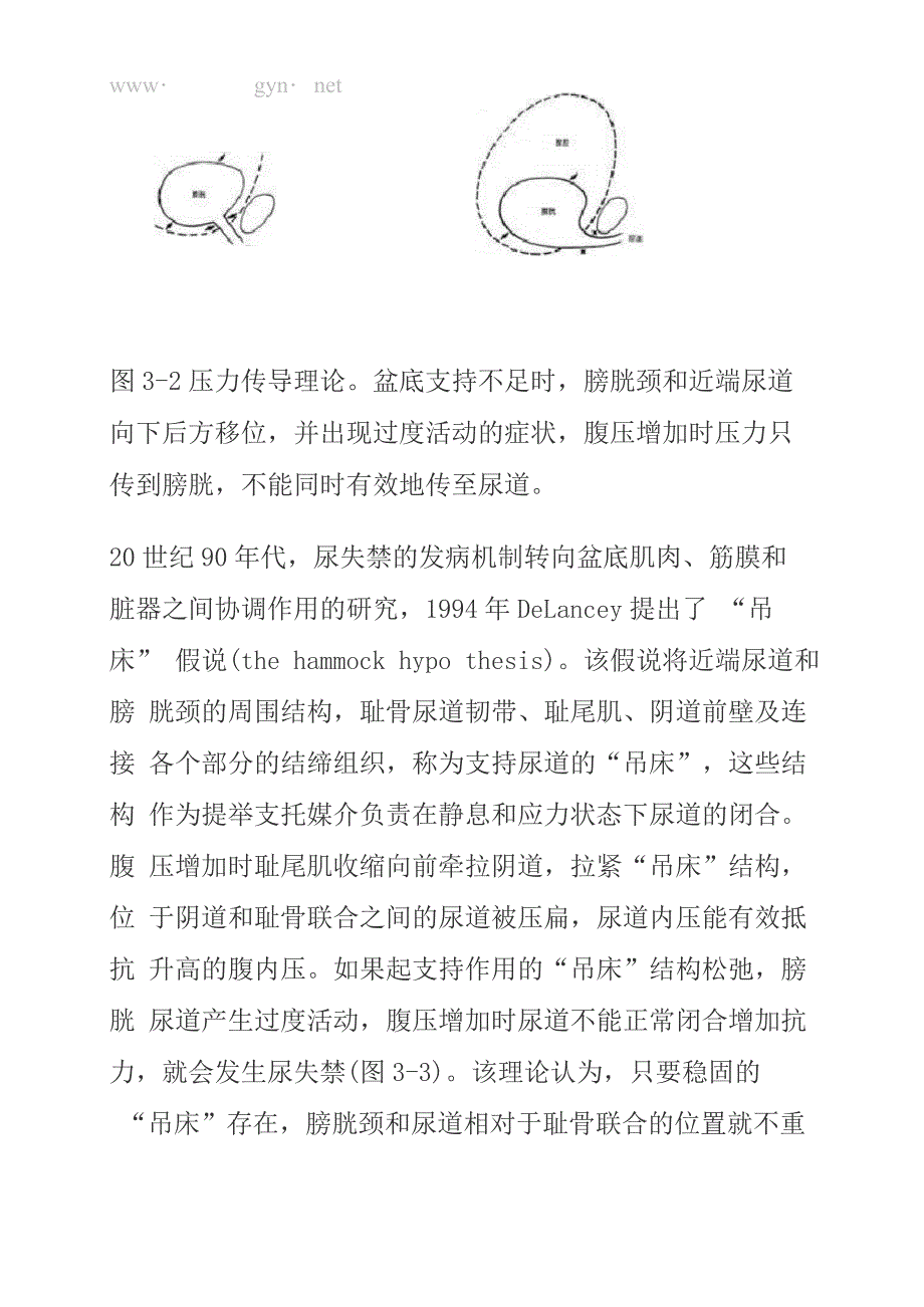 压力性尿失禁的病理机制_第2页