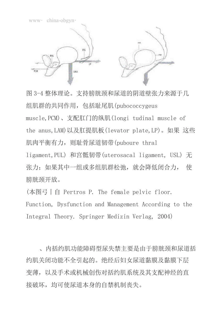 压力性尿失禁的病理机制_第4页