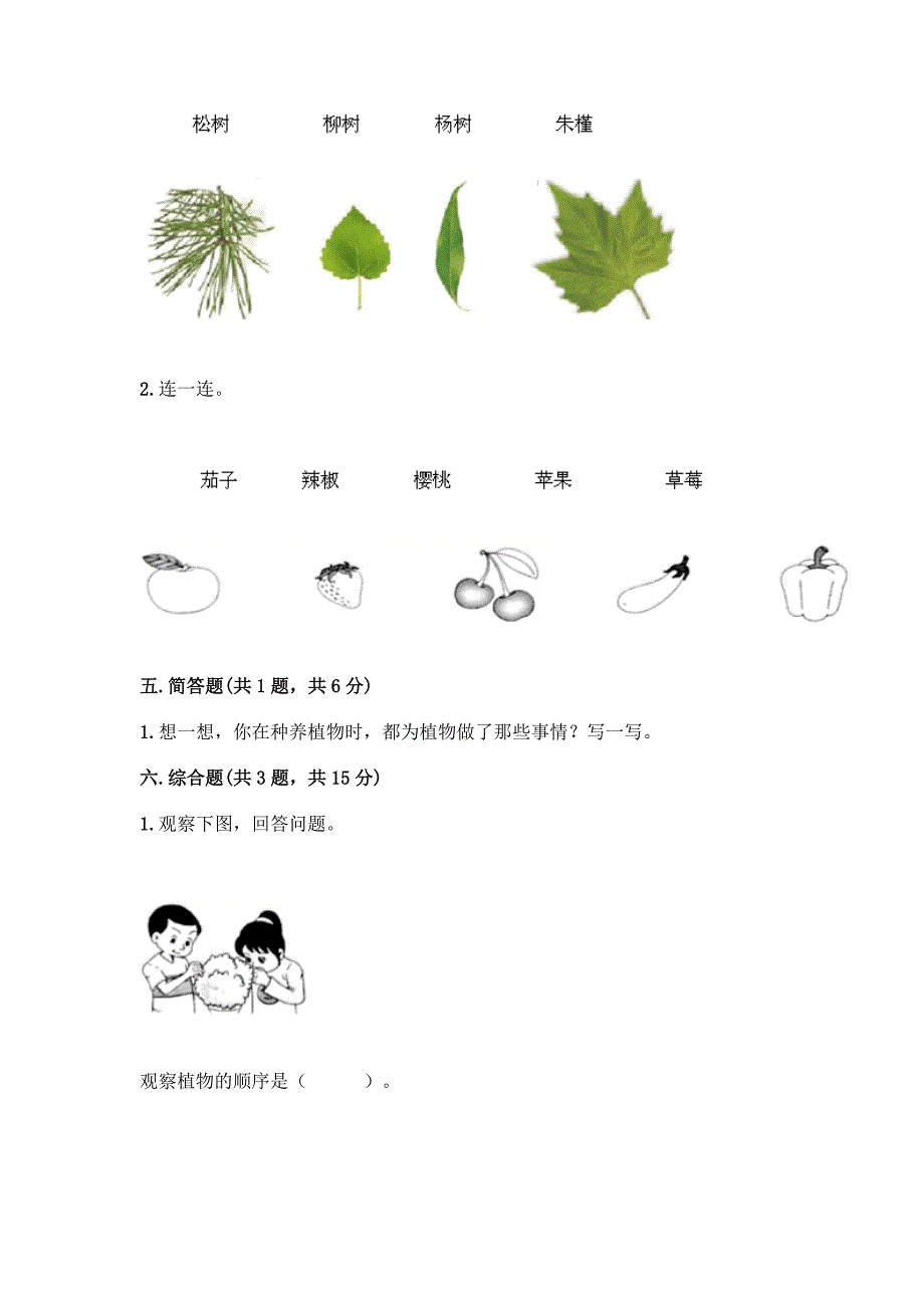 教科版科学一年级上册第一单元《植物》测试卷附参考答案(考试直接用).docx_第4页