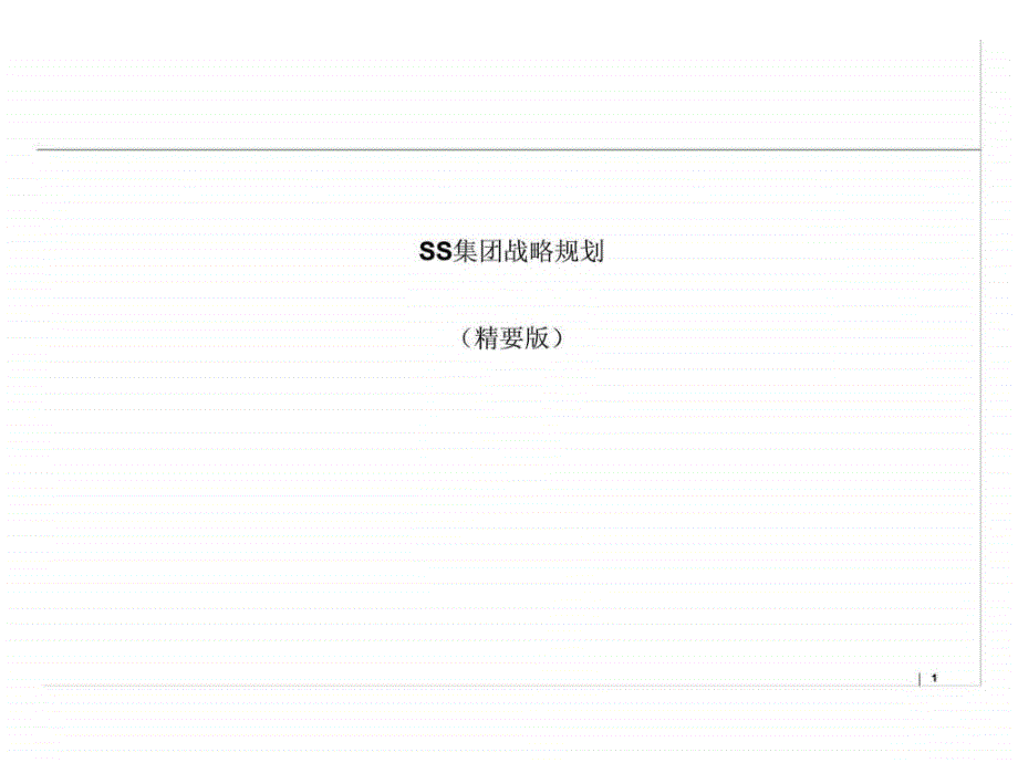 SS集团战略规划（精要版）_第1页
