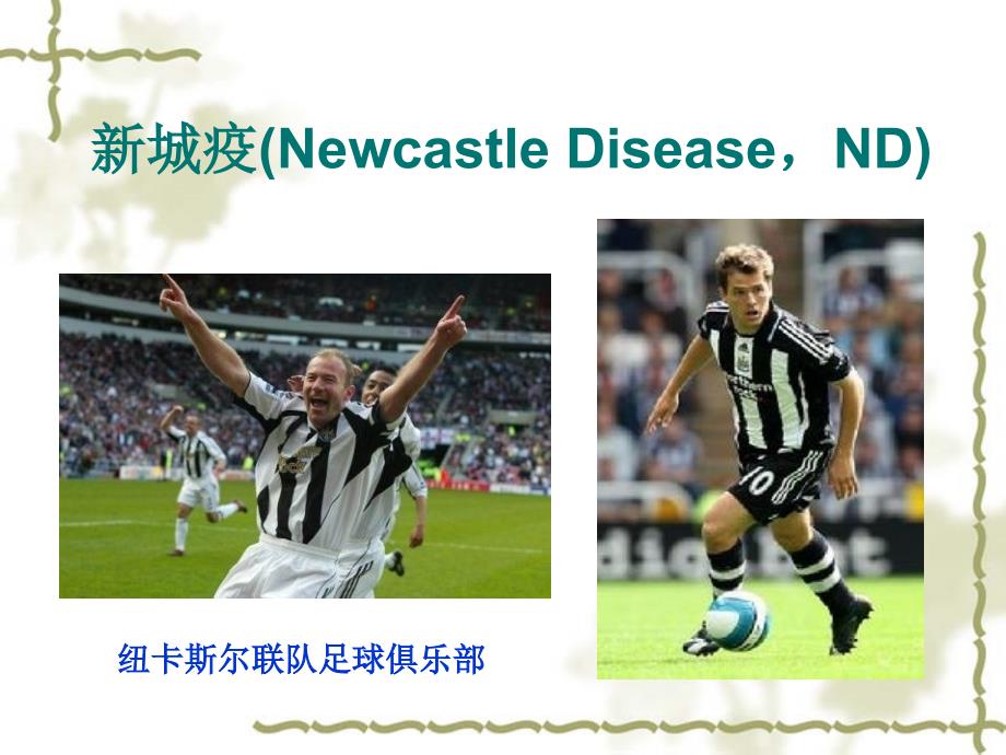 动物传染病学：新城疫(Newcastle DiseaseND)_第2页