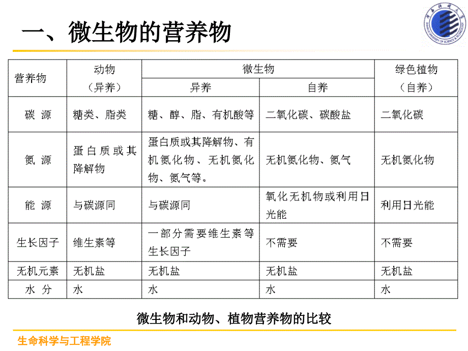 微生物的营养与培养课件_第3页