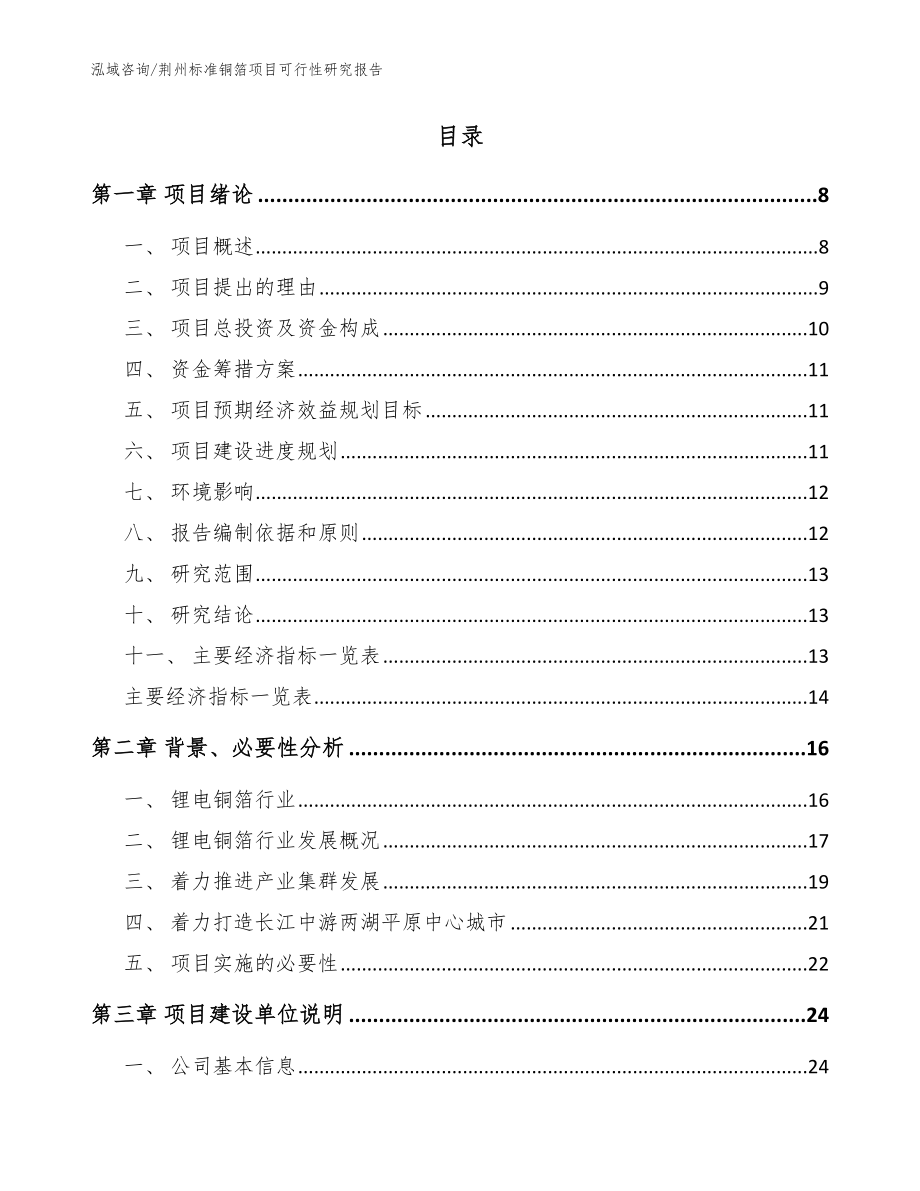 荆州标准铜箔项目可行性研究报告_模板范本_第2页
