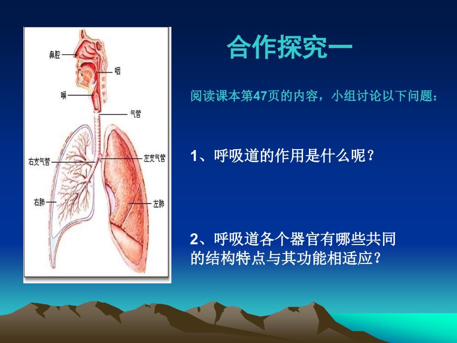 第一节呼吸 (4)_第4页