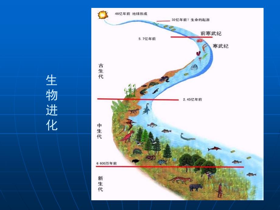 5普生遗传与变异_第3页