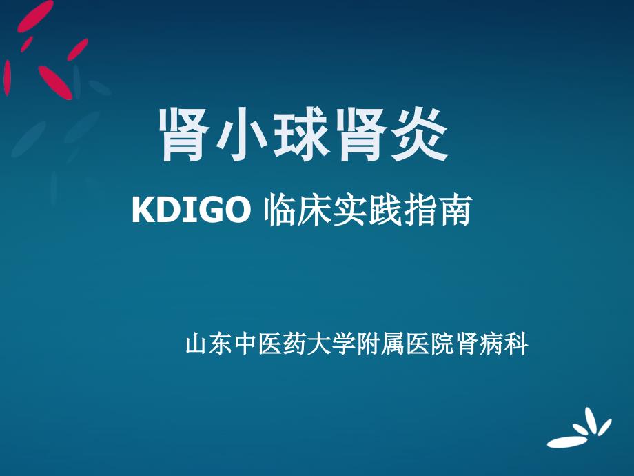 KDIGO临床实践指南肾小球肾炎概要_第1页