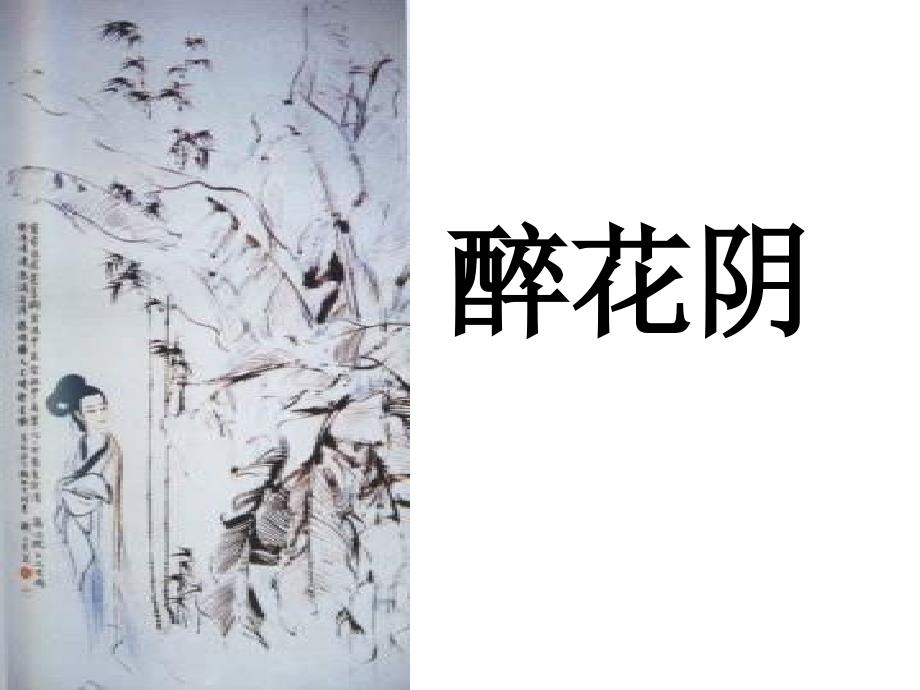 《醉花阴》课件_第1页