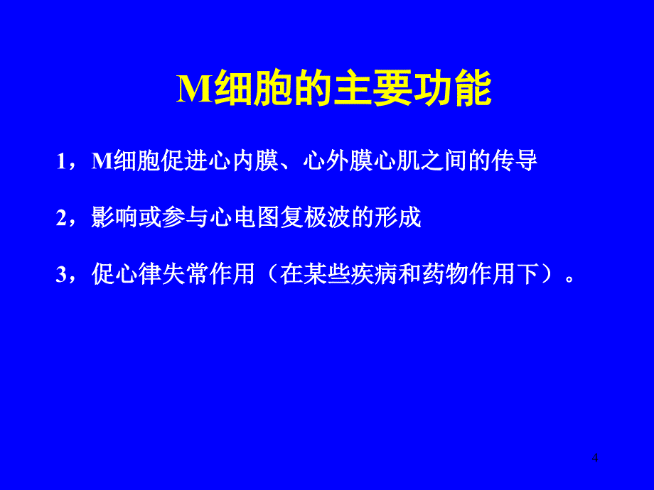 心肌M细胞讲稿1_第4页