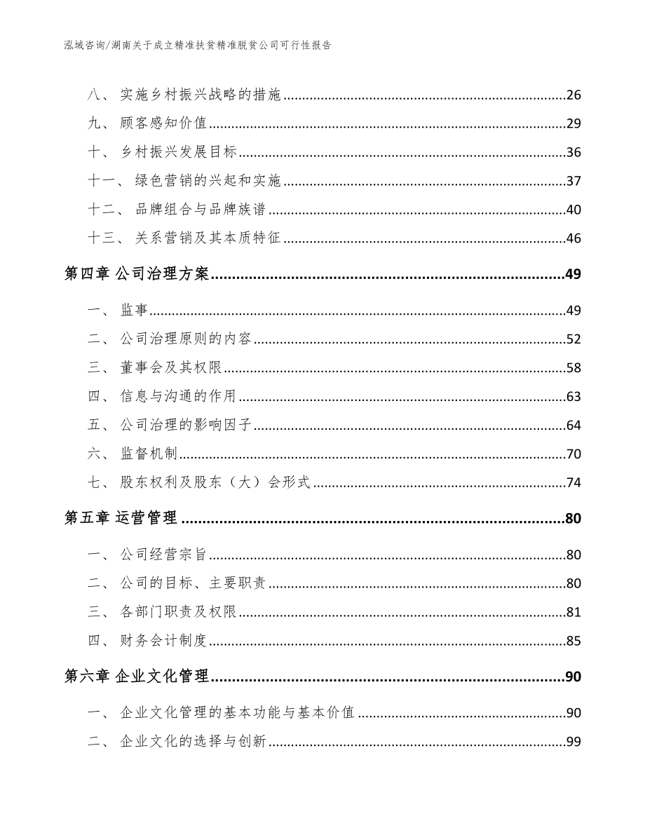 湖南关于成立精准扶贫精准脱贫公司可行性报告（范文参考）_第2页
