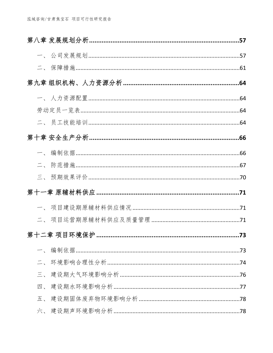 甘肃焦宝石 项目可行性研究报告（模板范本）_第3页